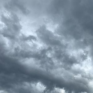 Meet your Posher, Swan